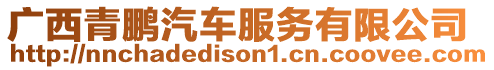廣西青鵬汽車服務(wù)有限公司