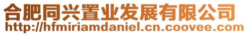 合肥同興置業發展有限公司