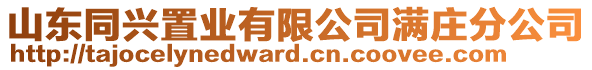 山東同興置業(yè)有限公司滿莊分公司