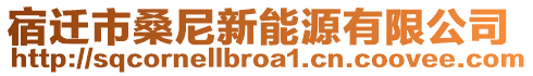 宿遷市桑尼新能源有限公司