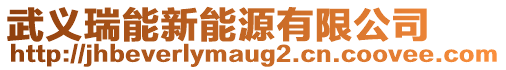 武義瑞能新能源有限公司