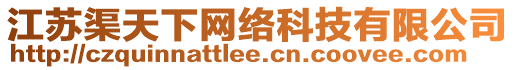 江蘇渠天下網絡科技有限公司