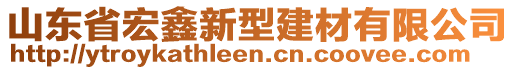 山東省宏鑫新型建材有限公司