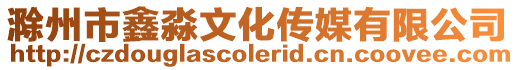 滁州市鑫淼文化傳媒有限公司