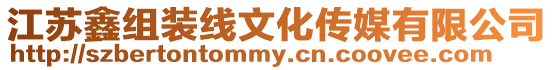 江蘇鑫組裝線文化傳媒有限公司