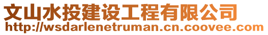 文山水投建設工程有限公司