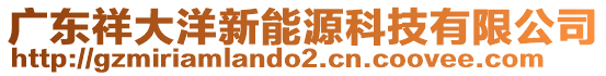 廣東祥大洋新能源科技有限公司