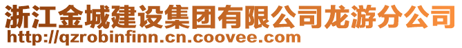 浙江金城建設集團有限公司龍游分公司