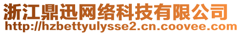 浙江鼎迅網(wǎng)絡(luò)科技有限公司