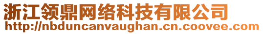 浙江領(lǐng)鼎網(wǎng)絡(luò)科技有限公司