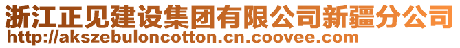 浙江正見建設(shè)集團(tuán)有限公司新疆分公司