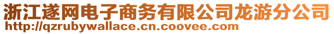 浙江遂網(wǎng)電子商務(wù)有限公司龍游分公司