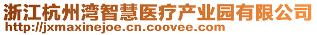 浙江杭州灣智慧醫(yī)療產(chǎn)業(yè)園有限公司