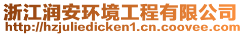 浙江潤安環(huán)境工程有限公司