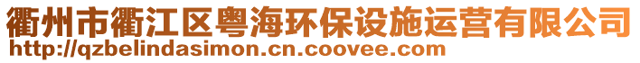 衢州市衢江區(qū)粵海環(huán)保設施運營有限公司