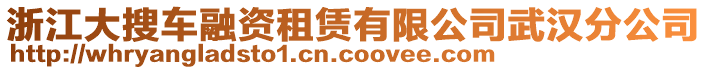 浙江大搜車融資租賃有限公司武漢分公司