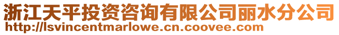 浙江天平投資咨詢有限公司麗水分公司