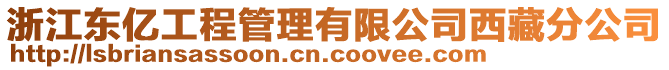 浙江東億工程管理有限公司西藏分公司