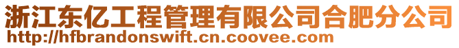 浙江東億工程管理有限公司合肥分公司