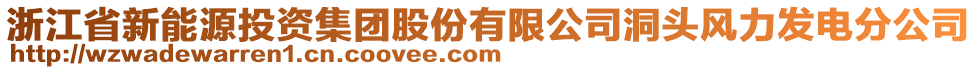 浙江省新能源投資集團(tuán)股份有限公司洞頭風(fēng)力發(fā)電分公司