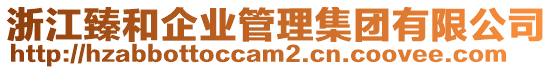 浙江臻和企業(yè)管理集團(tuán)有限公司