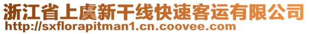 浙江省上虞新干線快速客運有限公司