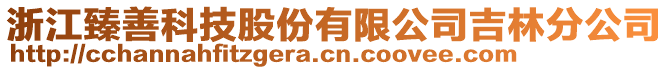 浙江臻善科技股份有限公司吉林分公司