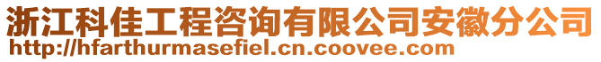 浙江科佳工程咨詢有限公司安徽分公司