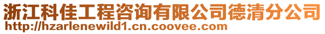 浙江科佳工程咨詢有限公司德清分公司