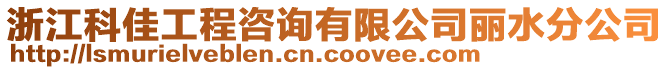 浙江科佳工程咨詢有限公司麗水分公司