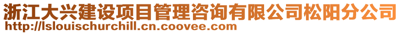 浙江大興建設(shè)項目管理咨詢有限公司松陽分公司