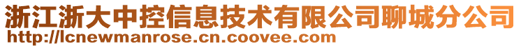 浙江浙大中控信息技術有限公司聊城分公司