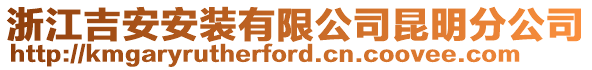 浙江吉安安裝有限公司昆明分公司