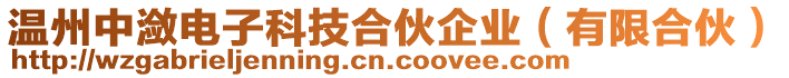 溫州中瀲電子科技合伙企業(yè)（有限合伙）