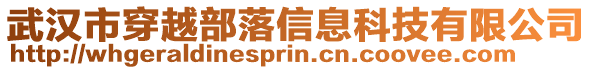 武漢市穿越部落信息科技有限公司