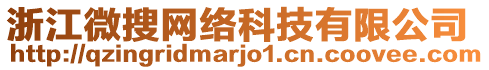 浙江微搜網(wǎng)絡(luò)科技有限公司