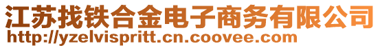 江蘇找鐵合金電子商務(wù)有限公司