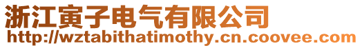 浙江寅子電氣有限公司