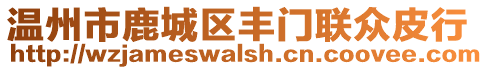 溫州市鹿城區(qū)豐門(mén)聯(lián)眾皮行