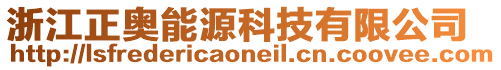 浙江正奧能源科技有限公司