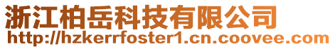 浙江柏岳科技有限公司