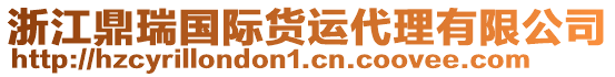 浙江鼎瑞國際貨運(yùn)代理有限公司