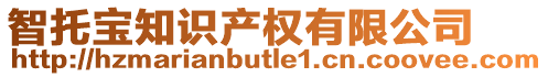 智托寶知識產權有限公司