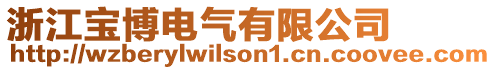 浙江寶博電氣有限公司