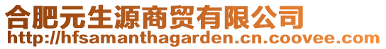 合肥元生源商貿(mào)有限公司