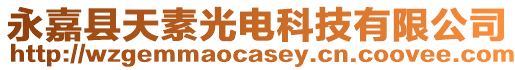 永嘉縣天素光電科技有限公司