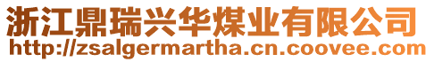 浙江鼎瑞興華煤業有限公司