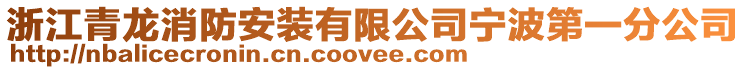 浙江青龍消防安裝有限公司寧波第一分公司
