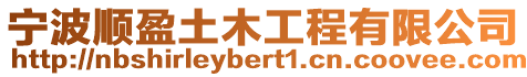 寧波順盈土木工程有限公司
