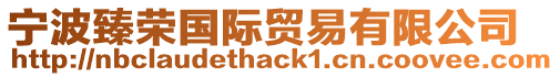 寧波臻榮國際貿易有限公司